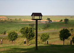 Vista